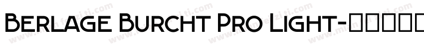 Berlage Burcht Pro Light字体转换